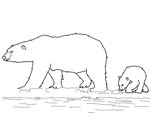 Polar Bears Family Coloring Page